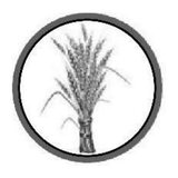 Prosperity Party ballot symbol